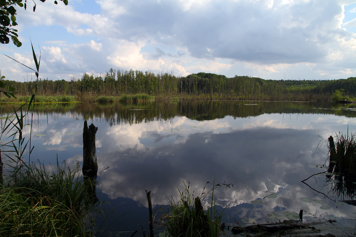 Am Faulen See