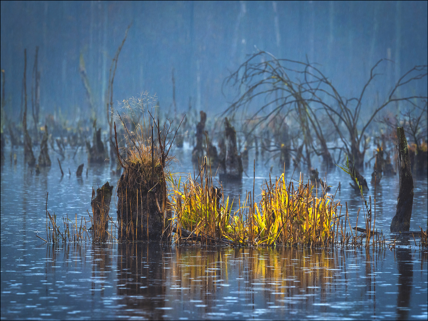 Am faulen See I