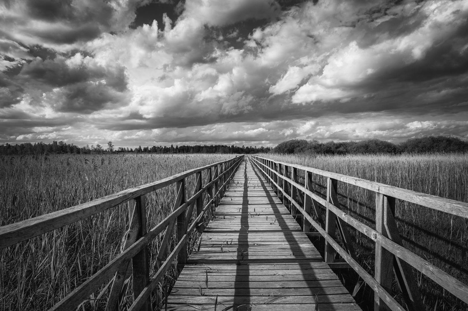 Am Federsee