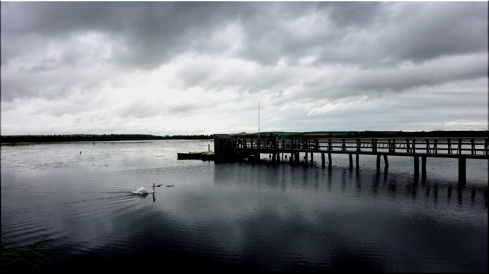 Am Federsee