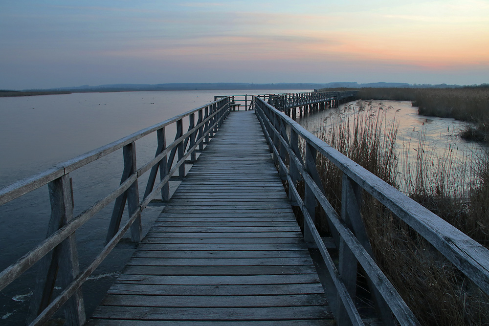 am Federsee vor Sonnenaufgang