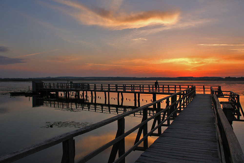 am Federsee vor Sonnenaufgang