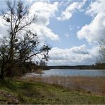 Am Feisnecksee