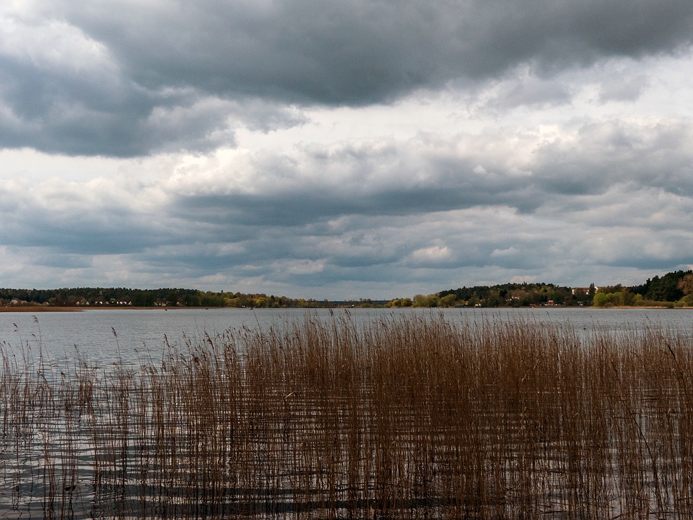 Am Feisnecksee