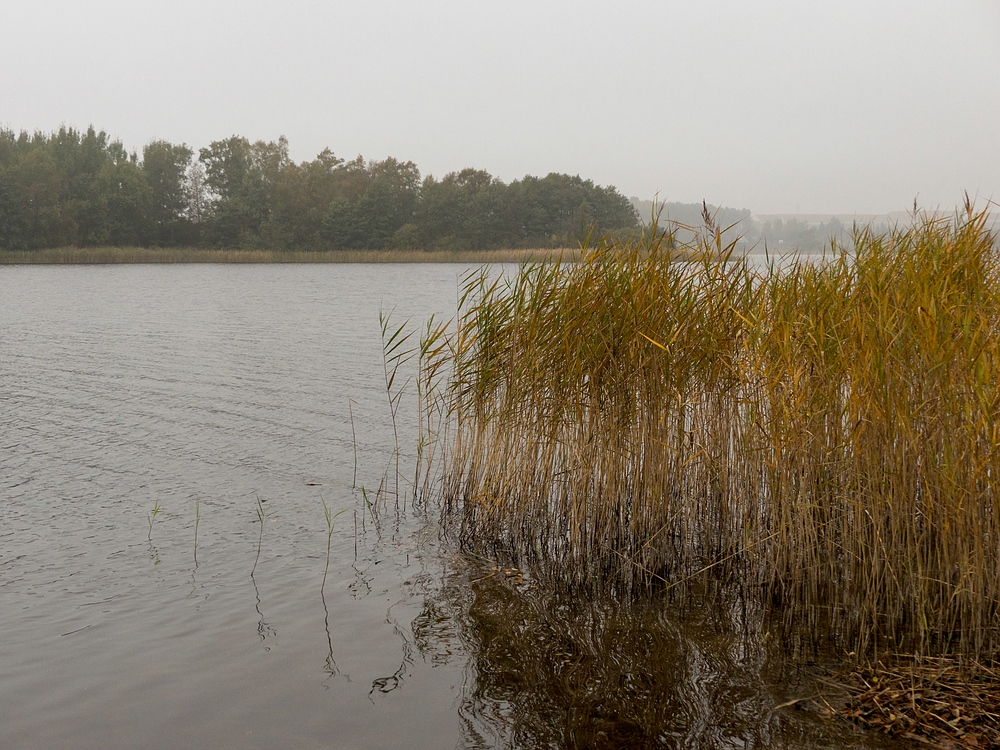 Am Feisnecksee