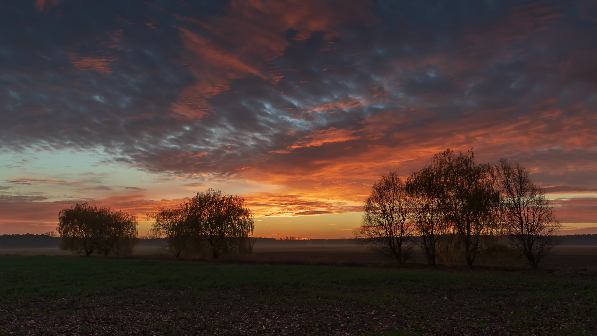 Am Feld