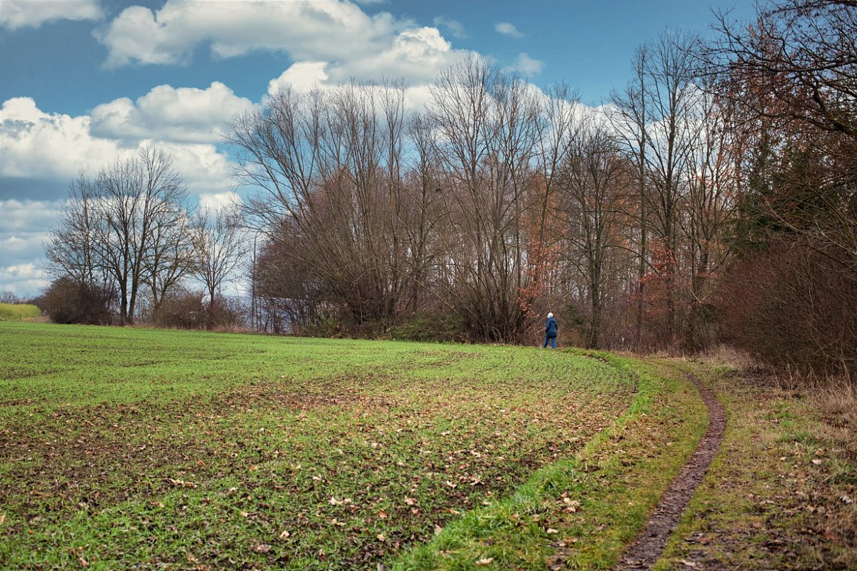 am Feld