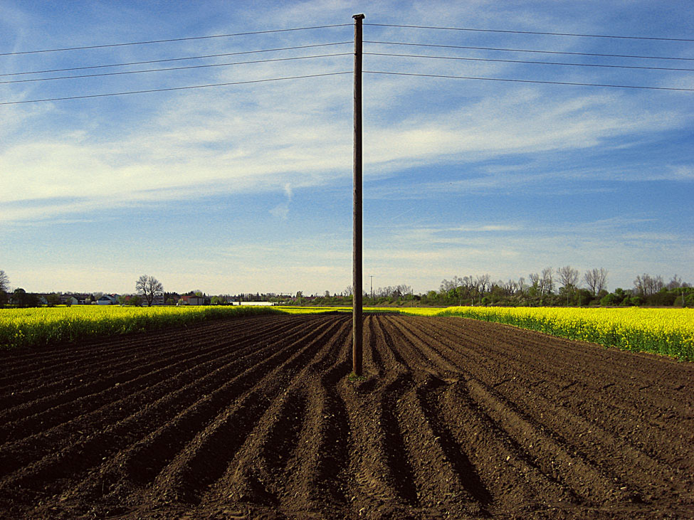 am Feld