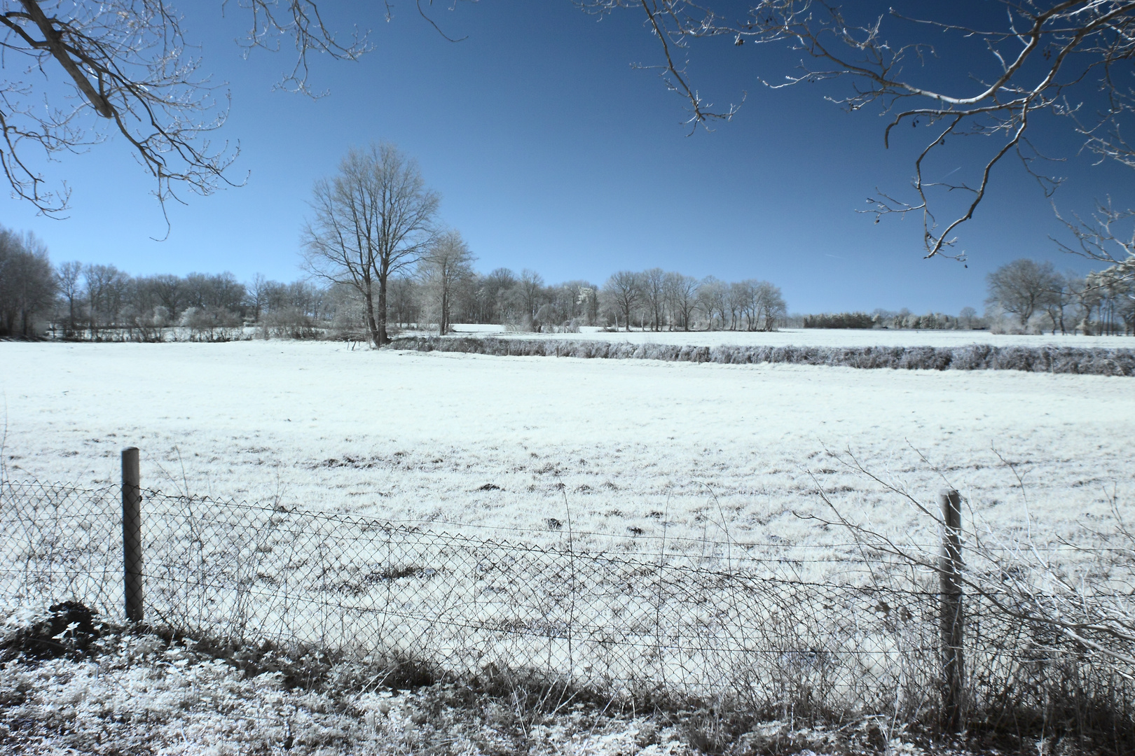 Am Feld