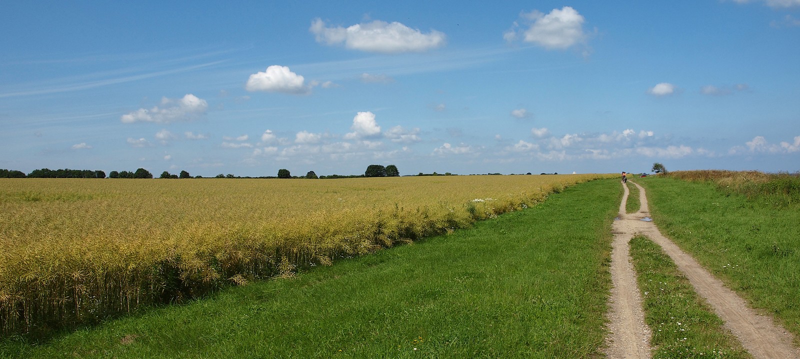 Am Feld entlang