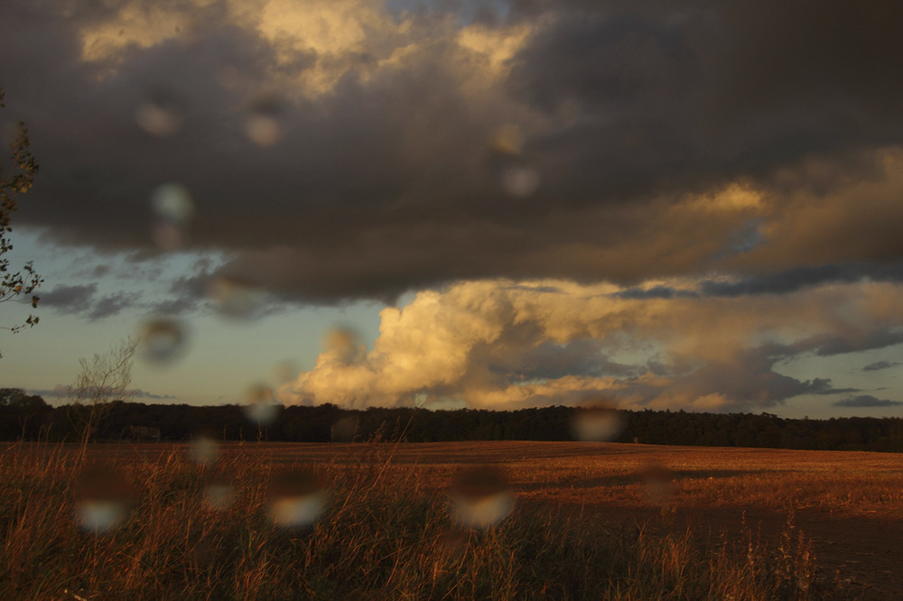 Am Feld nach dem Regenschauer