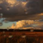 Am Feld nach dem Regenschauer