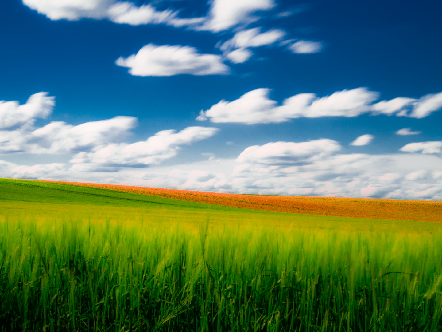 Am Feld - und das Spiel mit den Farben ...