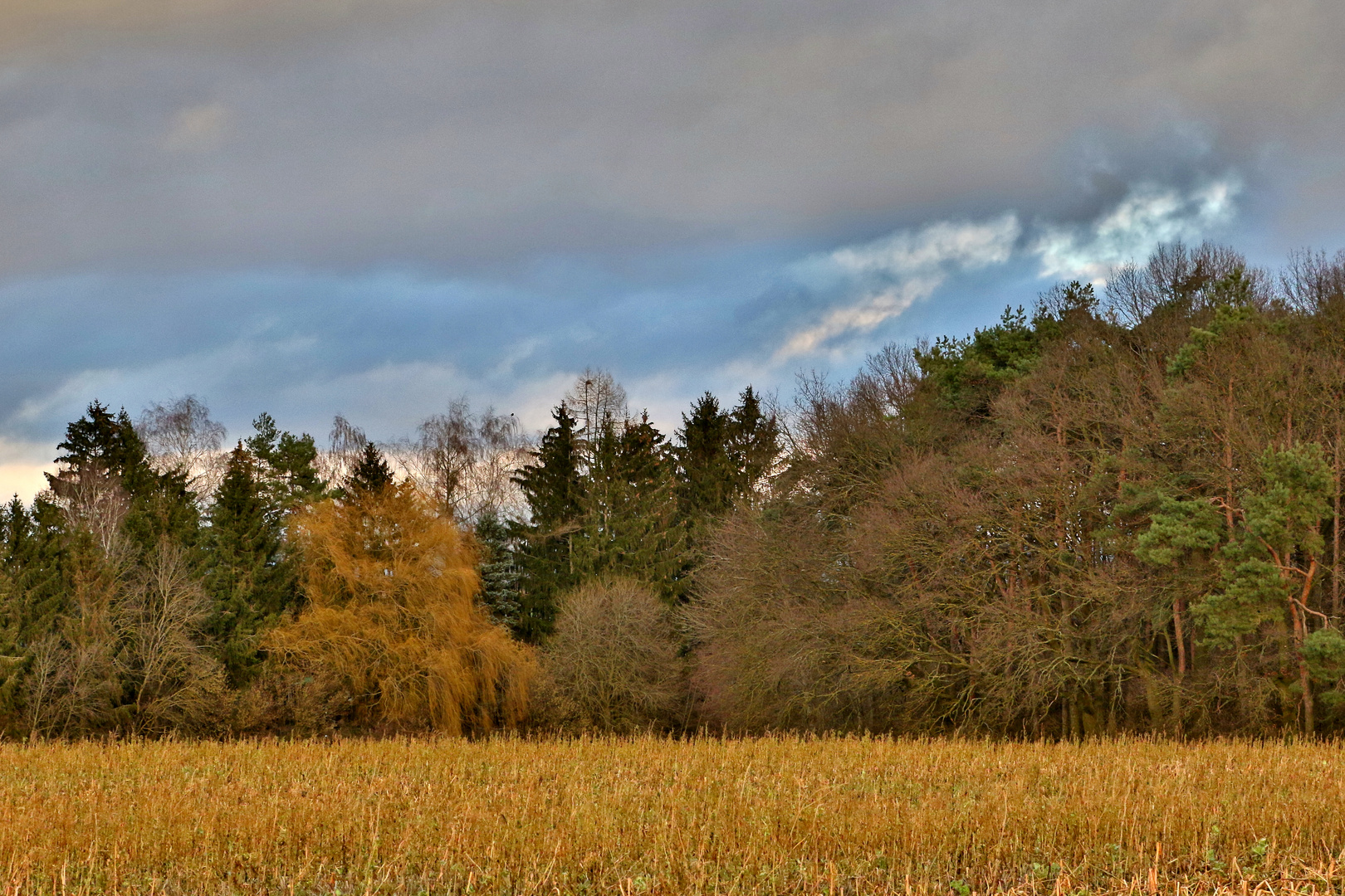 '"Am Feld vor'm Wald unter unsern Himmel"