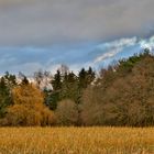 '"Am Feld vor'm Wald unter unsern Himmel"