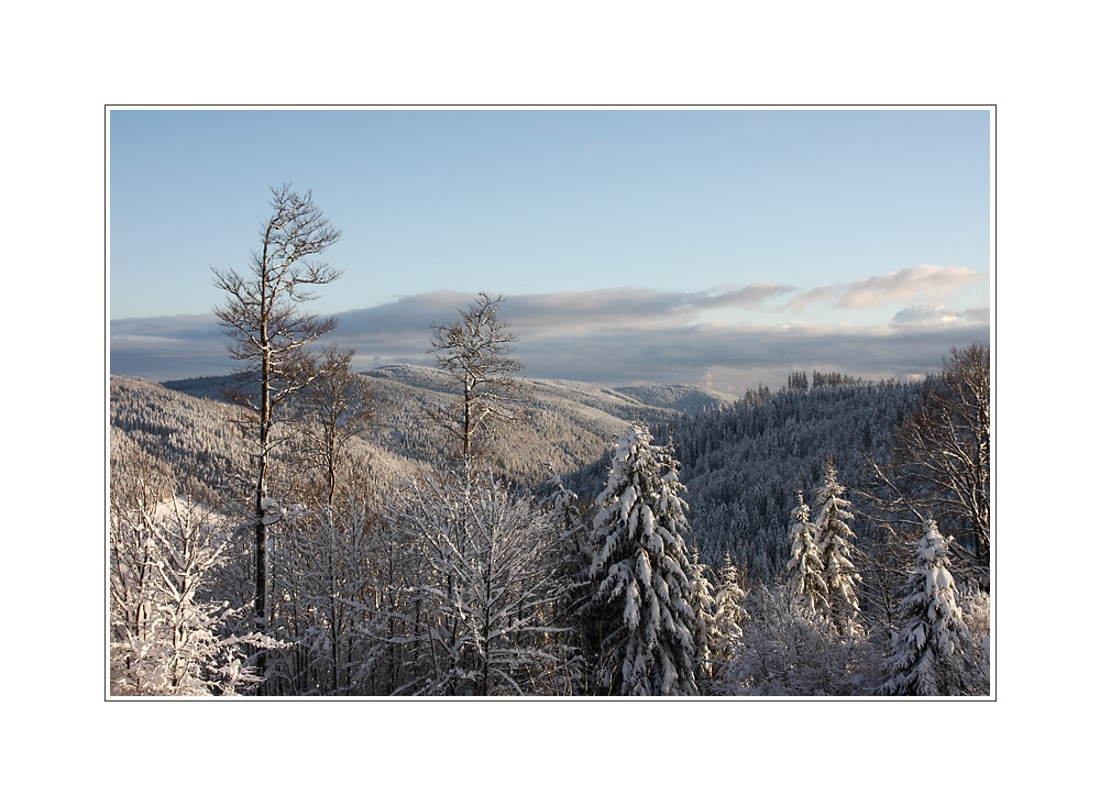 Am Feldberg