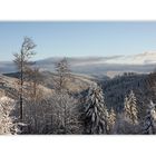 Am Feldberg