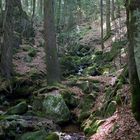 Am Feldberg...