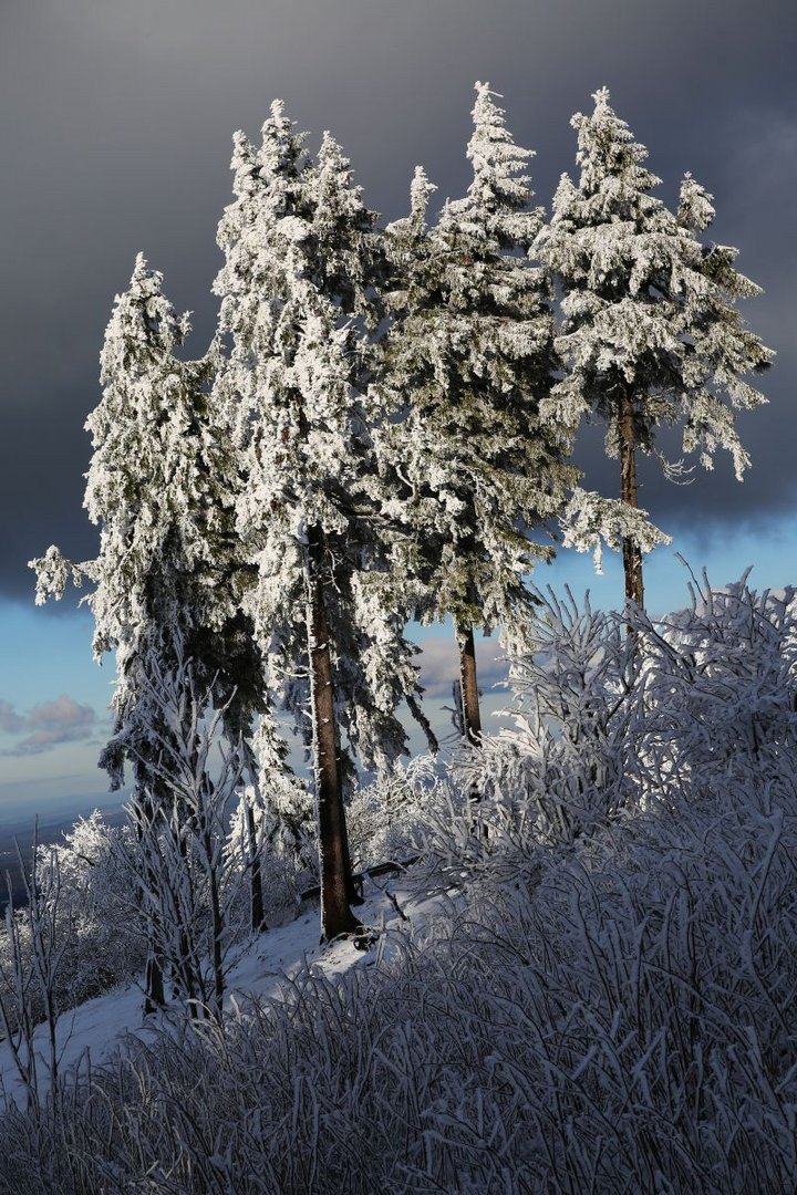 Am Feldberg