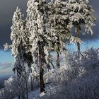 Am Feldberg