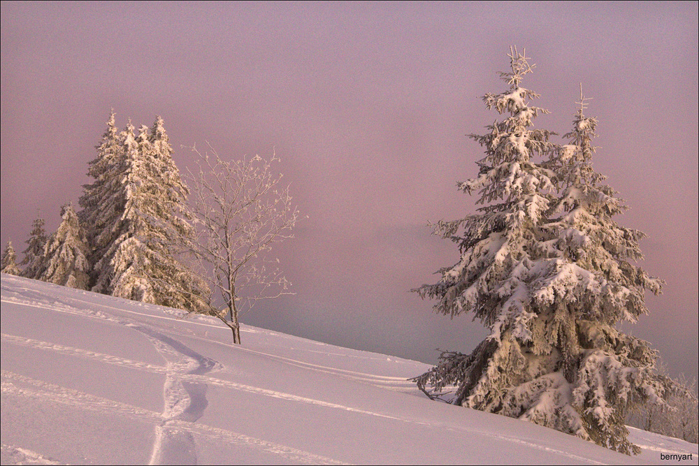 am Feldberg...