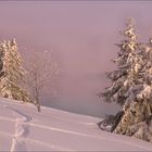 am Feldberg...