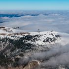 Am Feldberg im Schwarzwald 