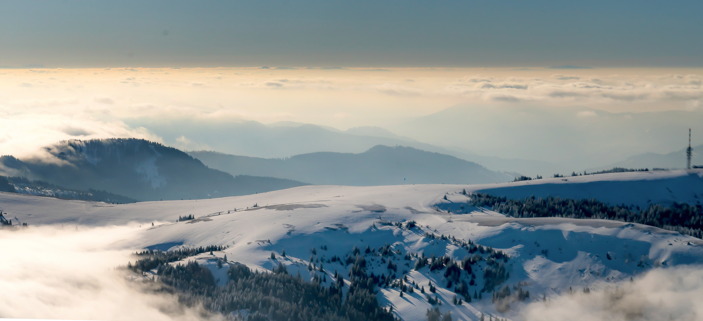 Am Feldberg im Winter 