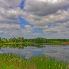 Am Feldmarksee