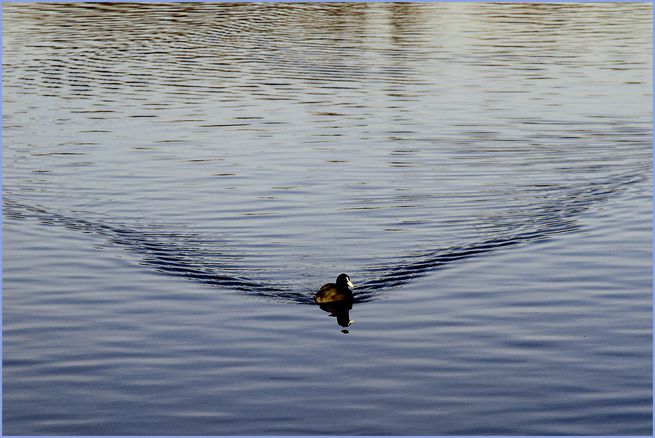 ... am Feldmochinger See...