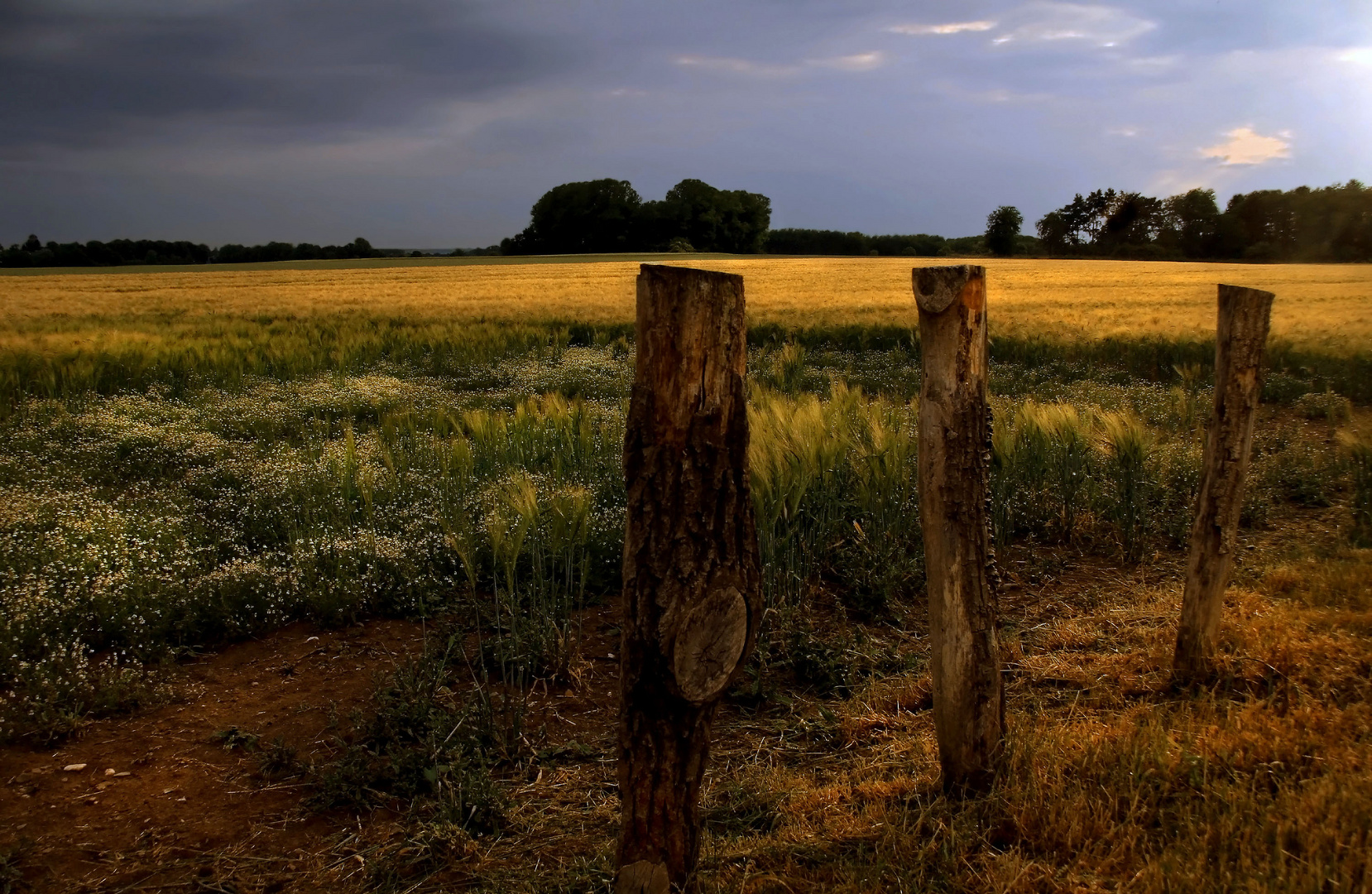 Am Feldrand Foto & Bild landschaft, himmel, Äcker, felder & wiesen