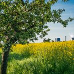 am Feldrand I - Engelbostel bei Hannover