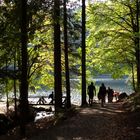 Am Feldsee der Herbstfärbung nachgespürt