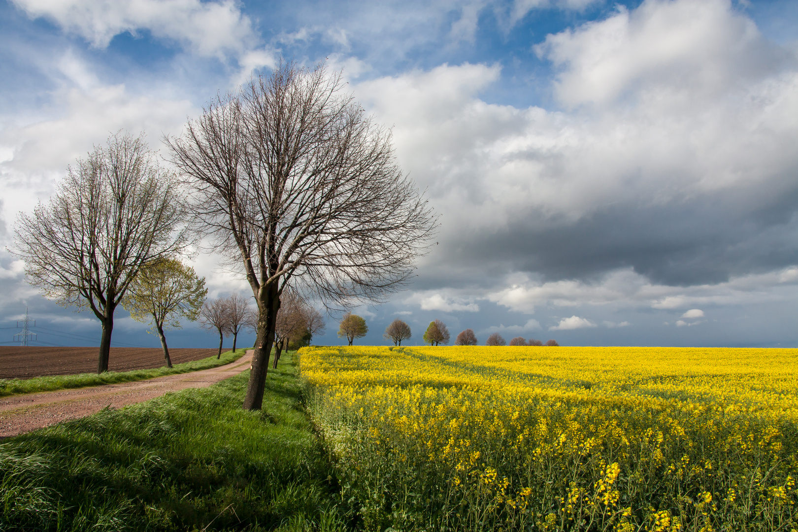 Am Feldweg