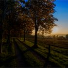 Am Feldweg