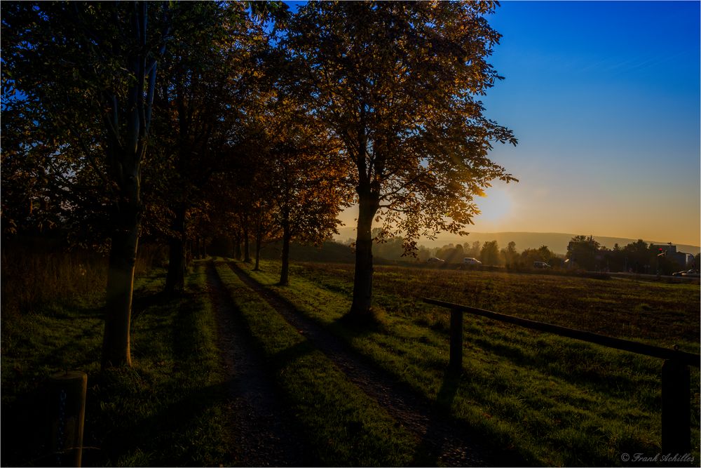 Am Feldweg