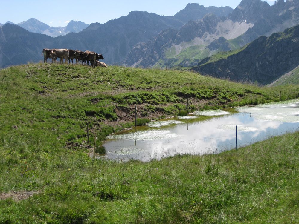 am Fellhorn von AHHM 