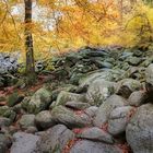 Am Felsenmeer (Lautertal) | Odenwald