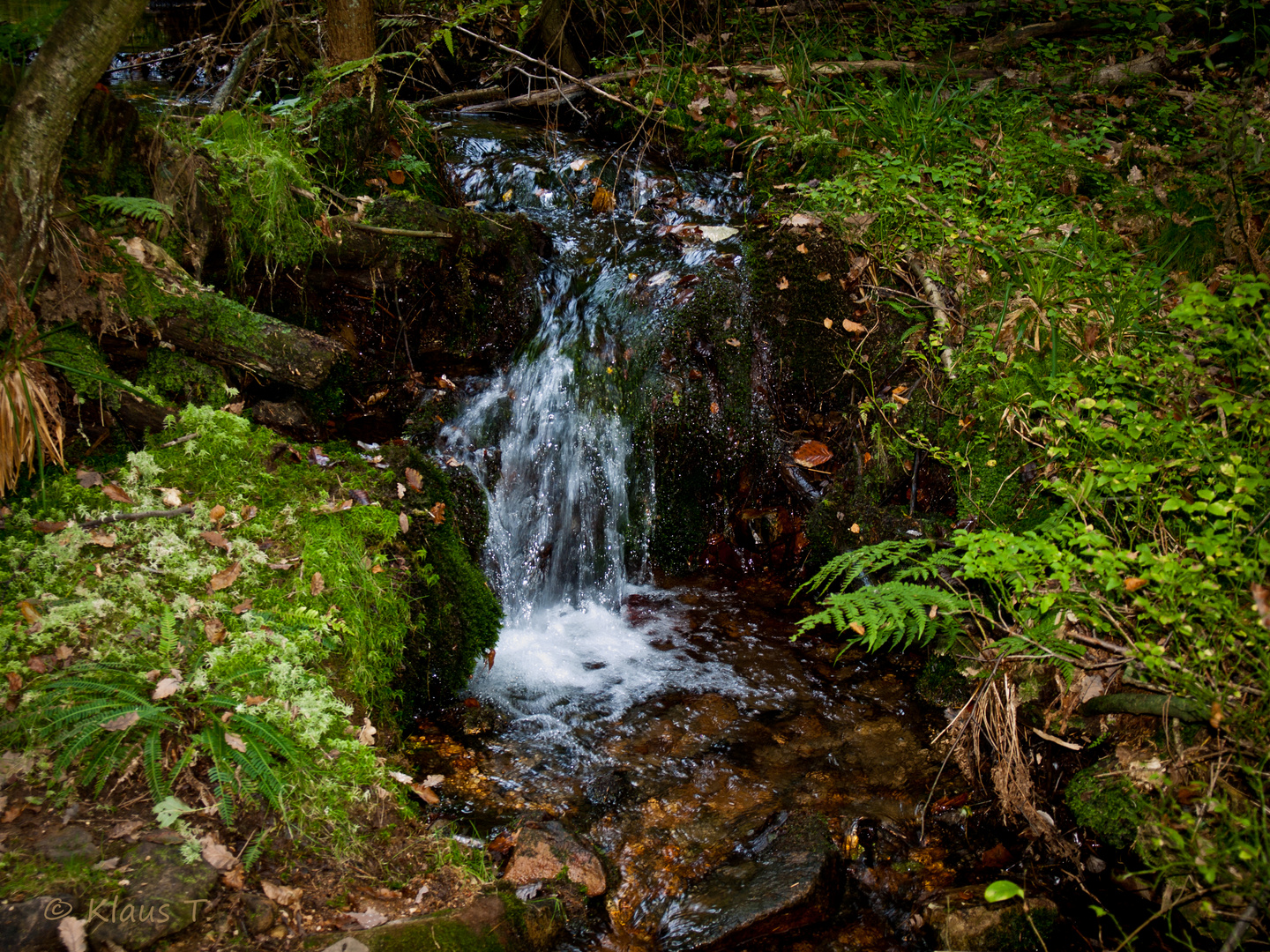 Am Felsenwanderweg