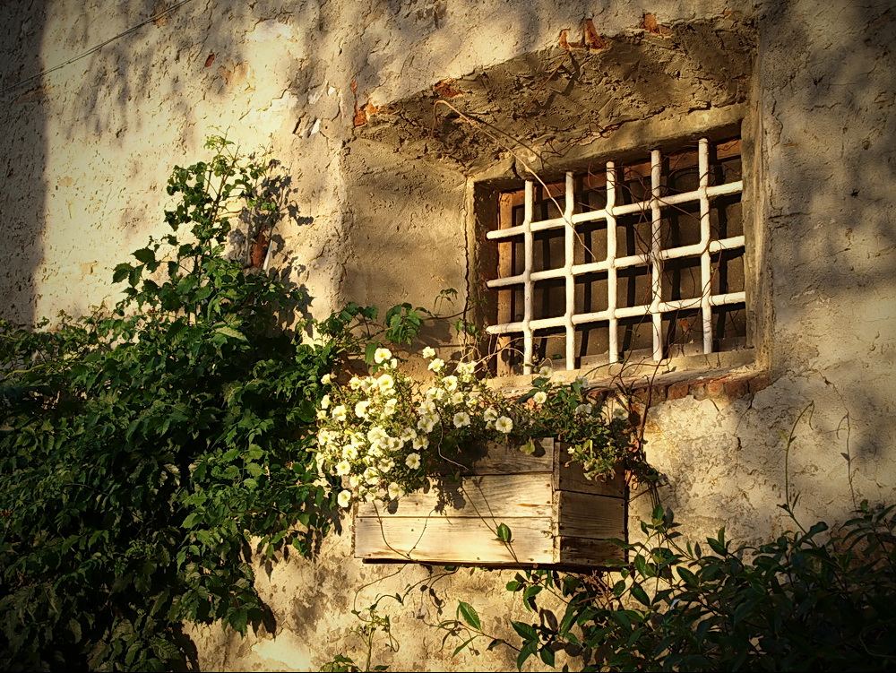 Am Fenster