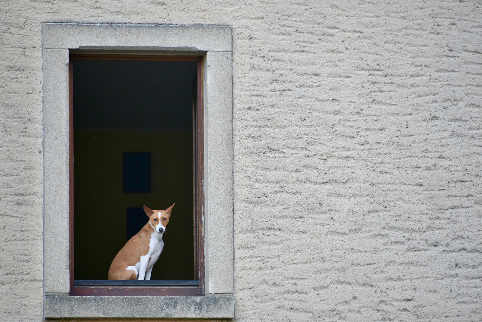 Am Fenster