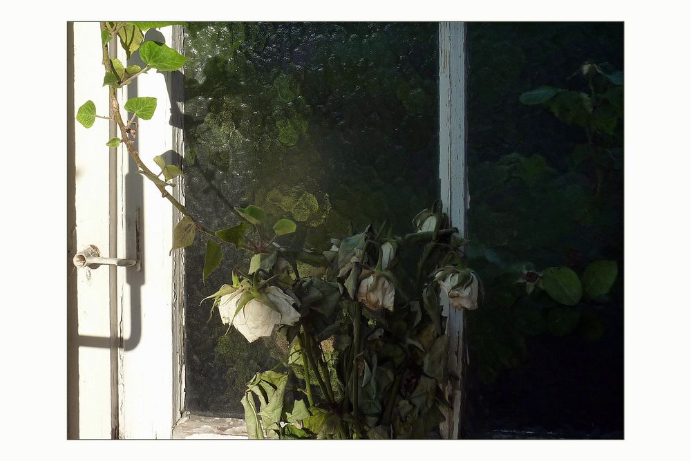 am Fenster Foto &amp; Bild spezial, fenster, schatten Bilder