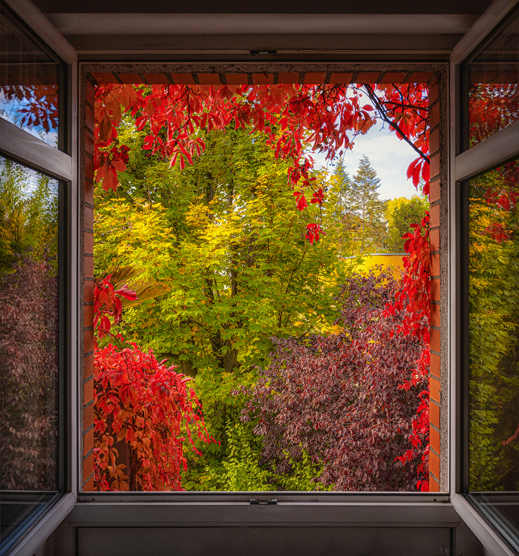 Am Fenster