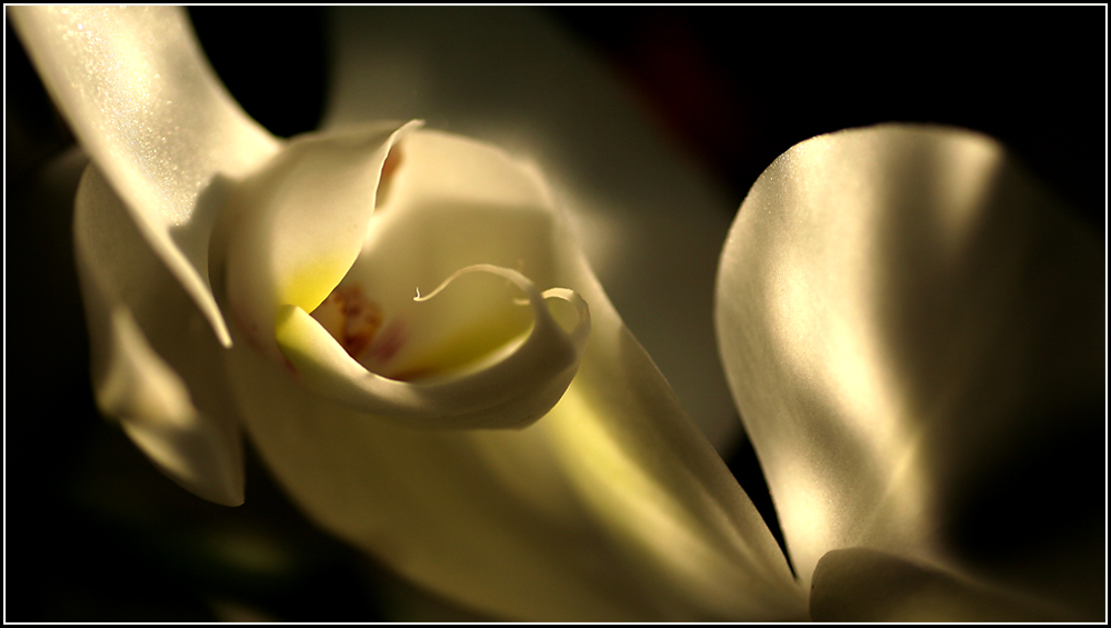 - am Fenster -