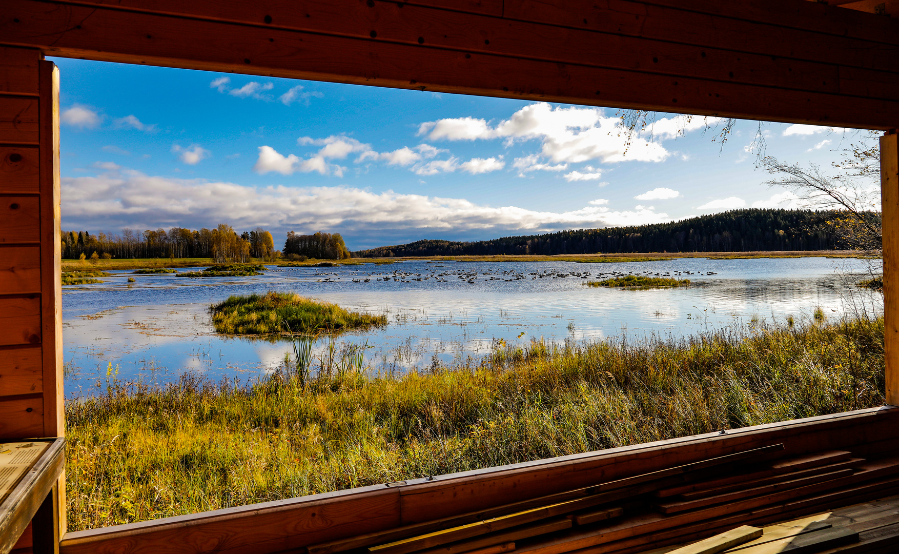 Am Fenster des Naturreservates