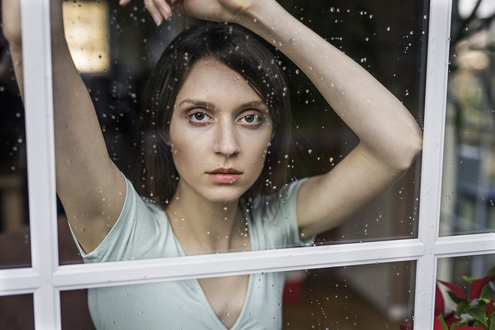 am fenster