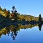 Am Ferchensee