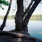 Am Fermasee bei Rheinstetten