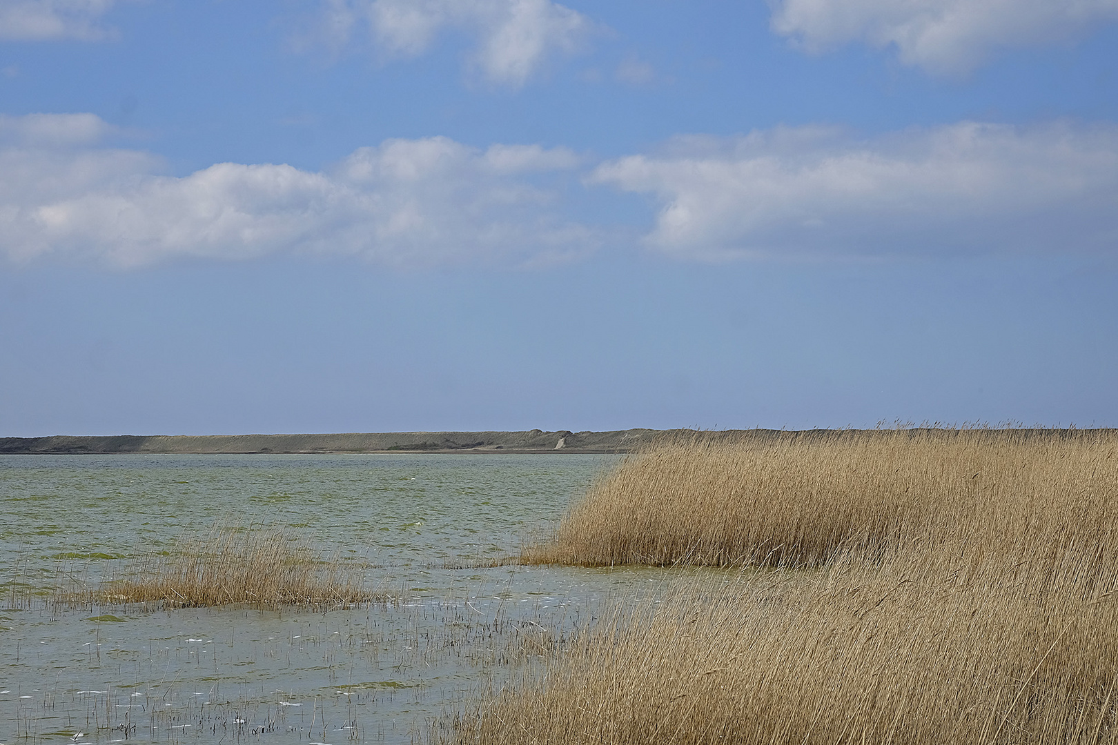 Am Ferring Sø in Midtjylland (DK) bei Strande