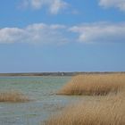 Am Ferring Sø in Midtjylland (DK) bei Strande